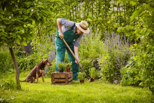 Senior reviewer inspecting a landscaped area