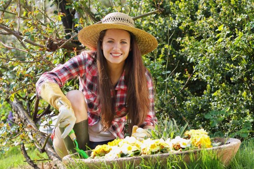 Lawn mowing and garden care in Belmont