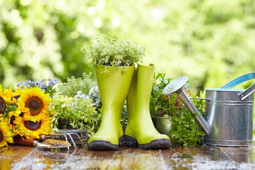 Tree removal services and equipment